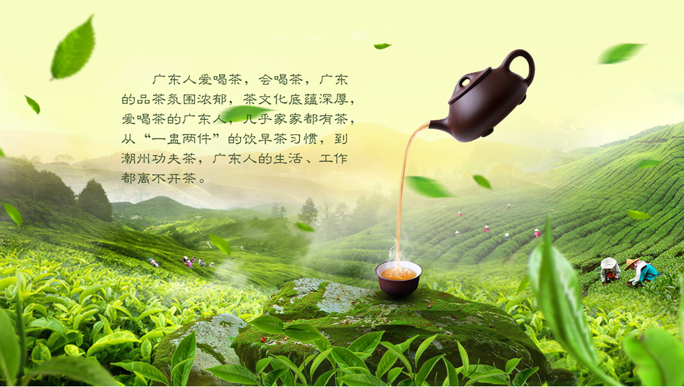 茶葉商城系統(tǒng) 茶葉商城系統(tǒng)